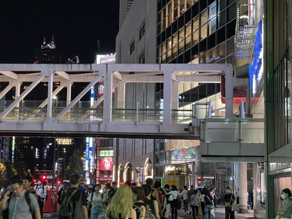 新宿駅南口甲州街道歩道橋