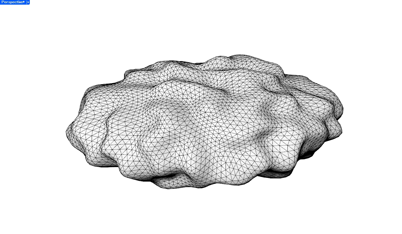 Mesh